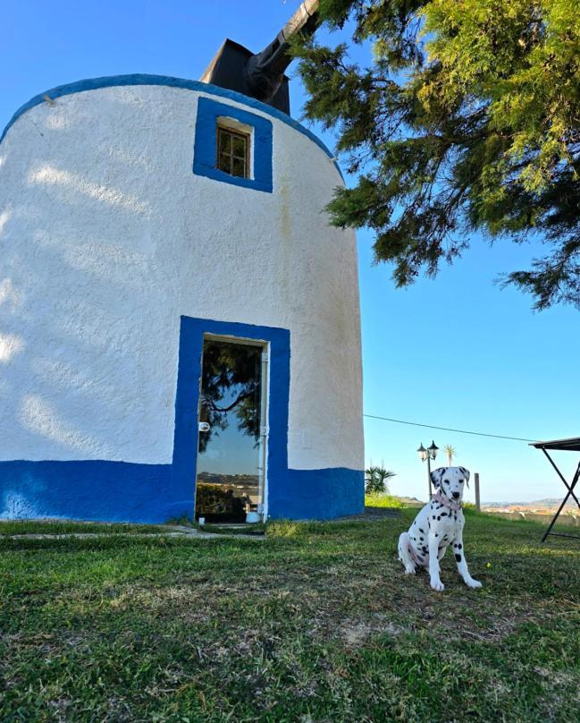 Enxara do Bispo Casal Do Moinho 빌라 외부 사진